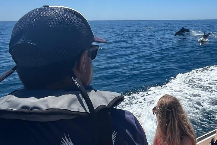 Faro Dolphin & Marine-Life Watching: Ria Formosa Small-Boat Excursion photo 4