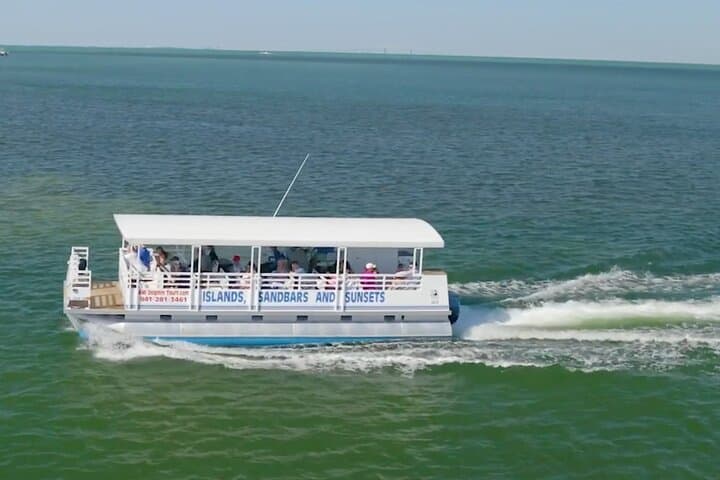Anna Maria Island Dolphin Sightseeing Adventure — 2-Hour Gulf & Backbay Dolphin Cruise from Holmes Beach photo 4