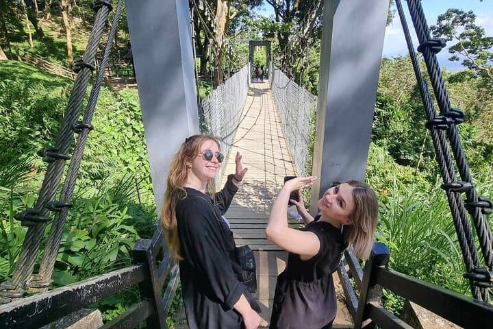 Tagaytay Day Tour: Taal Lake Views, Picnic Grove & Mahogany Market
