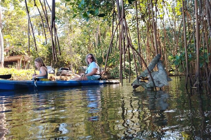 Punta Uva Kayak and Sloth-Watching Tour — River Paddles & Jungle Hikes in Costa Rica photo 3