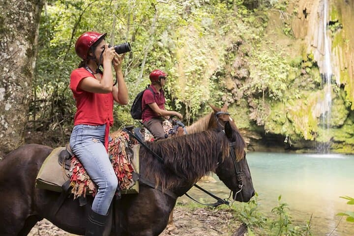 Samana Adventure: Whale Watching, El Limón Waterfall & Cayo Levantado Day Trip photo 6