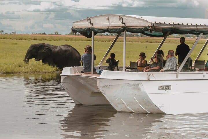 Chobe National Park Day Trip from Victoria Falls — Boat Cruise, Game Drive & Lunch photo 6