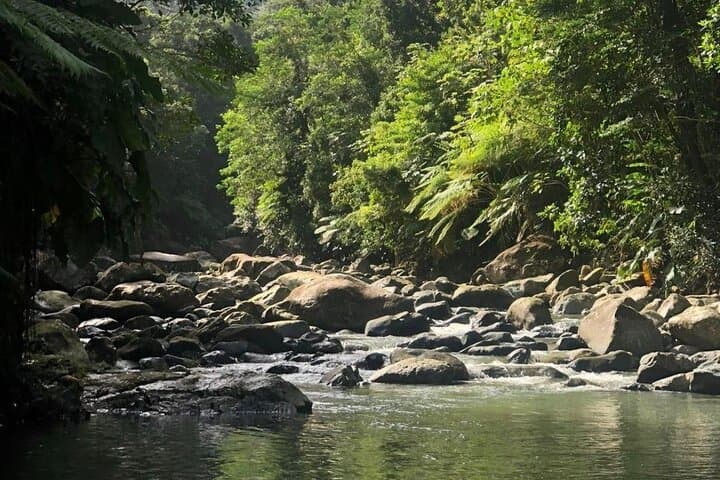 El Yunque Full-Day Rainforest Hike, Las Paylas Waterslides & Luquillo Beach