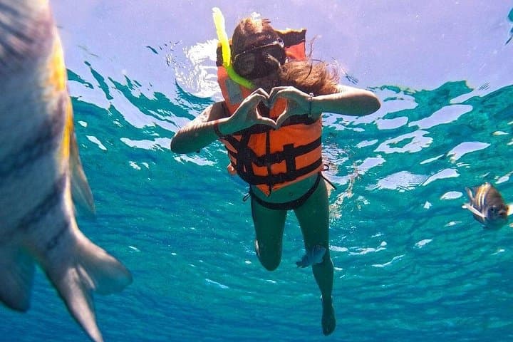 Cozumel Snorkel Adventure: Palancar, Columbia & El Cielo Sandbar photo 4
