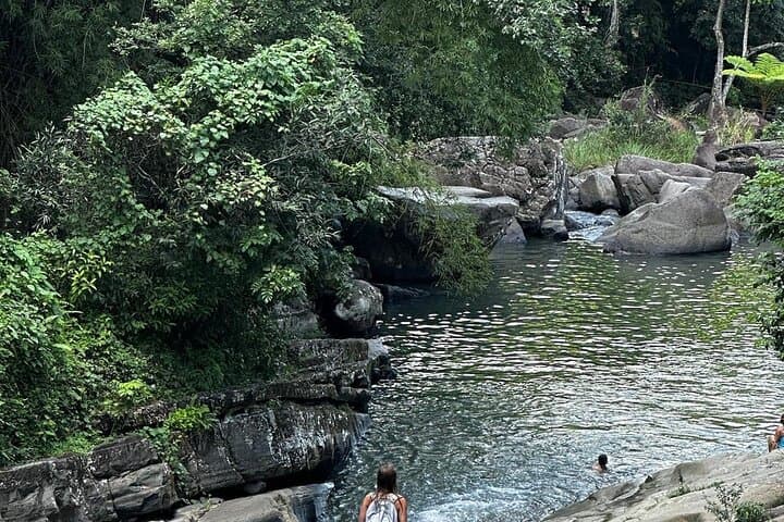El Yunque Full-Day Rainforest Hike, Las Paylas Waterslides & Luquillo Beach photo 5
