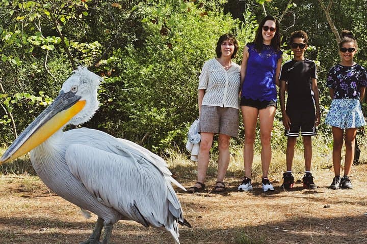 Karavasta Lagoon Boat Tour from Durrës: Pelicans, Pines & Coastal Views photo 2