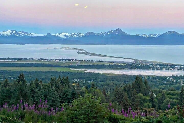 Wildlife in Homer, Alaska