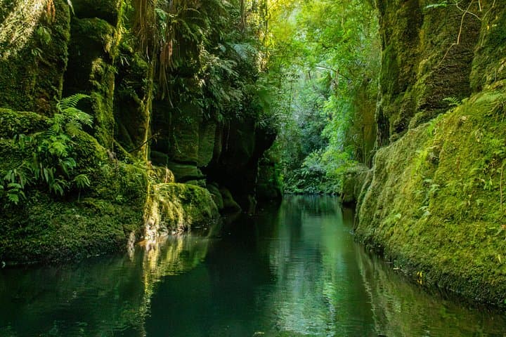 Paddle Lake McLaren: Scenic Kayak & Canoe Tour to Mangapapa Canyon from Tauranga