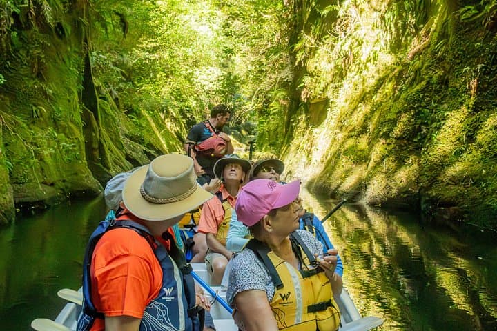 Paddle Lake McLaren: Scenic Kayak & Canoe Tour to Mangapapa Canyon from Tauranga photo 2