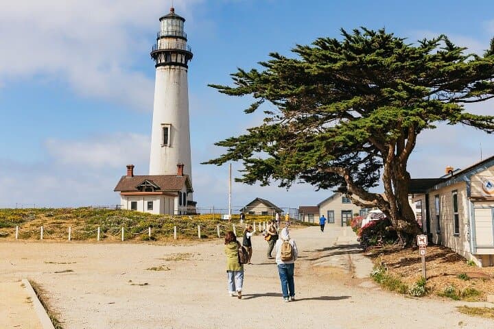 Monterey and Carmel Coastal Day Trip: 17-Mile Drive, Cannery Row & Lone Cypress from San Francisco photo 3