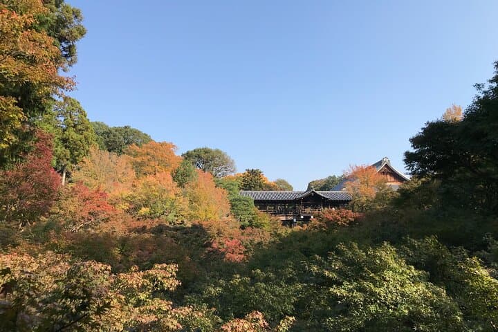 Explore Kyoto's Secret Zen Gardens and Iconic Torii Gates: Guided Walking Tour photo 2