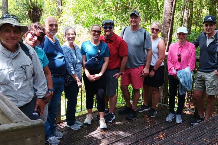 Kawiti Glow Worm Cave Tour & Opua Forest Walk — Bay of Islands Māori-Guided Cave Experience photo 5