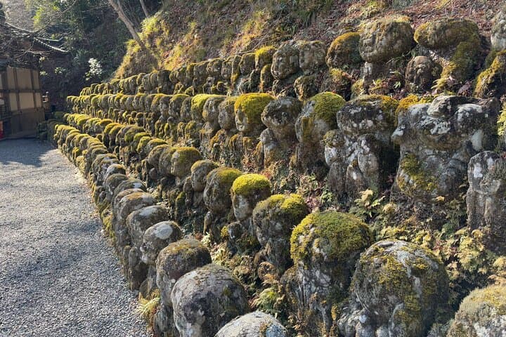 Arashiyama Walking Tour: Bamboo Grove, Temples & Hidden Kyoto photo 3