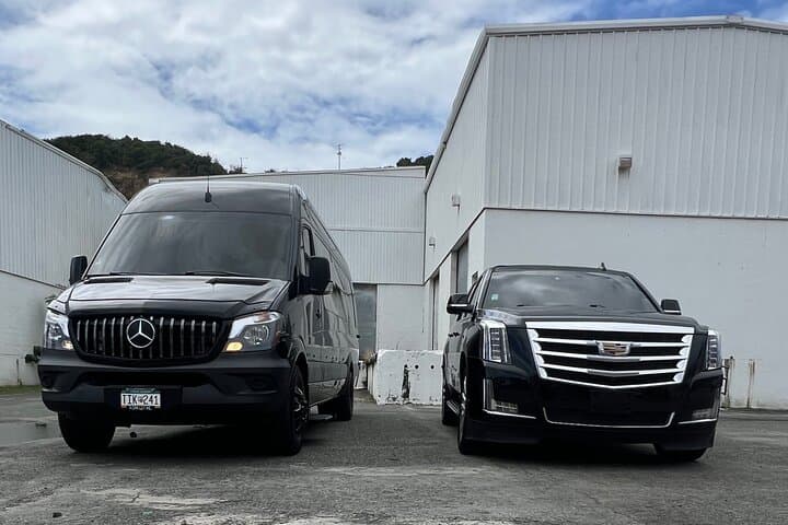 Private Airport Transfer from St. Thomas (STT) to Crown Bay Ferry Terminal photo 3