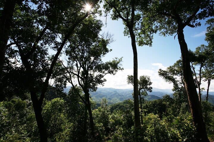 4-Day Jungle Hike & Village Immersion in Nam Ha National Protected Area photo 5