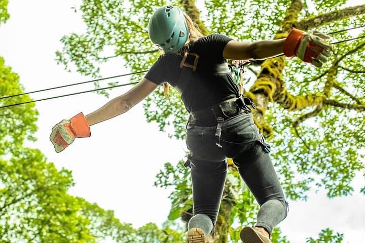 6-in-1 Full-Day Aerial Tram & Zipline in Braulio Carrillo National Park