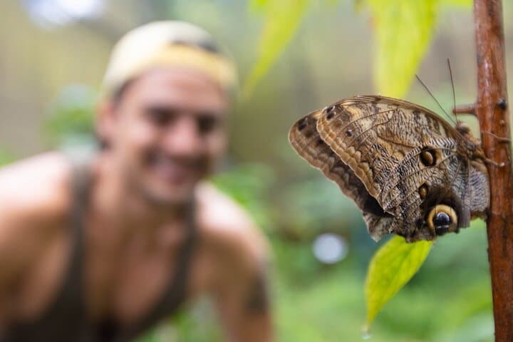 Jacó Rainforest Aerial Tram: Canopy Views, Butterfly & Medicinal Gardens photo 3