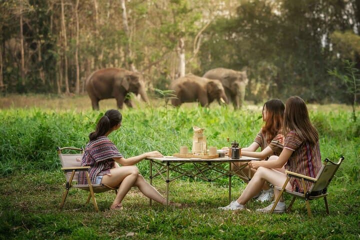 Elephant Sanctuary and Thai Cooking Experience in Chiang Mai