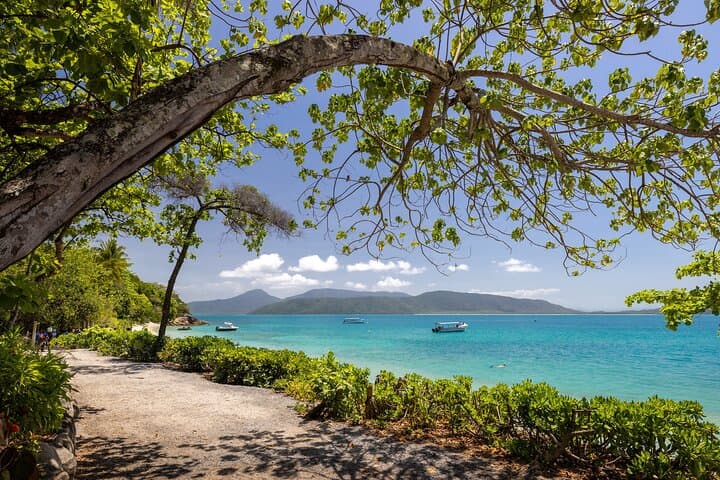 Afternoon Fitzroy Island Escape: Snorkel Nudey Beach with Return Ferry photo 6