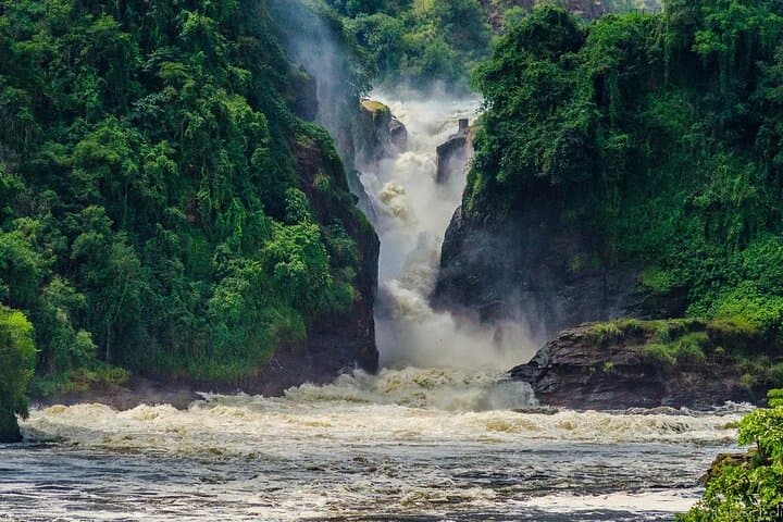 11-Day Big Five: Gorillas, Chimpanzees & Classic Uganda Safari photo 5