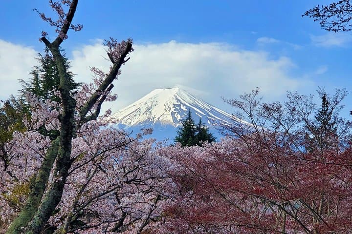 Mount Fuji Full-Day Private Tour from Tokyo — Customize Kawaguchiko, Oshino Hakkai & More photo 2