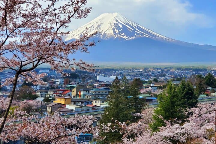 Mount Fuji & Hakone Private Day Trip from Tokyo — Lake Ashi Cruise, Owakudani & Ropeway photo 2
