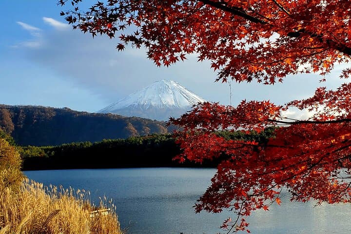 Mt Fuji and Hakone Private Day Tour from Tokyo with Bullet Train Return photo 3