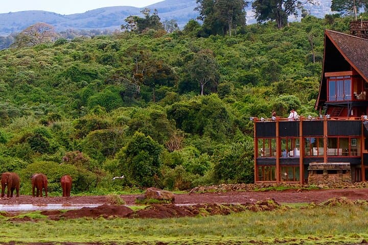 Aberdares Luxury Lodge Safari: Night Wildlife Viewing at Treetops & The Ark photo 4