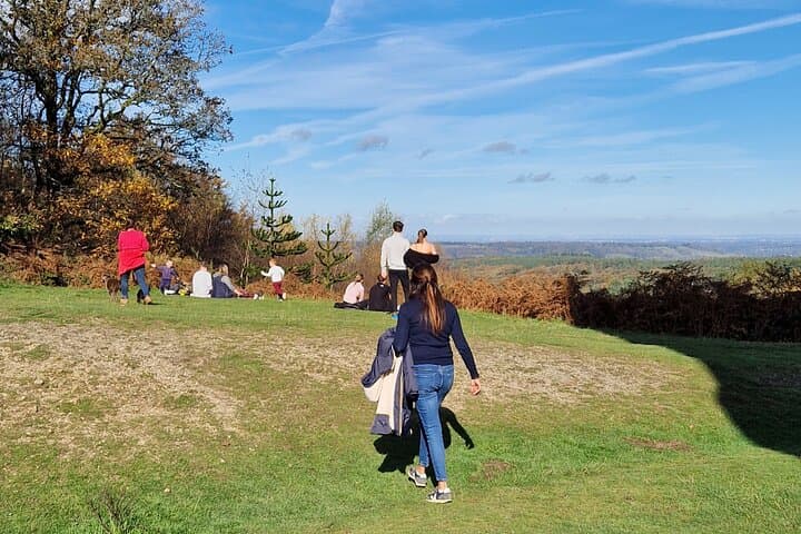 Full-Day Surrey Hills Tour: Box Hill, Leith Hill & Silent Pool photo 4