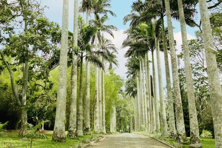 Aburi Botanical Gardens & Aburi Craft Village: Accra Day Trip to Ghana's Hilltop Garden photo 2