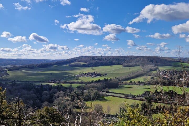 Full-Day Surrey Hills Tour: Box Hill, Leith Hill & Silent Pool photo 5