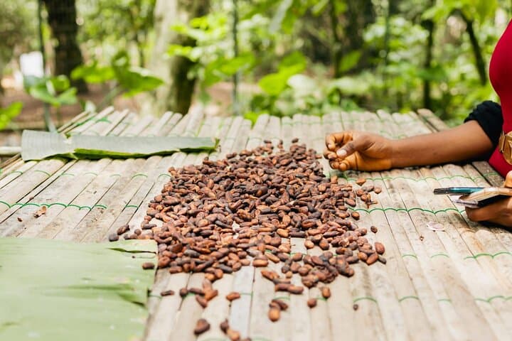 Aburi Botanical Gardens & Aburi Craft Village: Accra Day Trip to Ghana's Hilltop Garden photo 5
