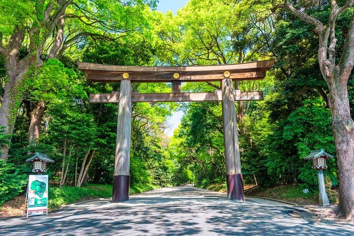 Tokyo Private Custom Day Tour: Explore Asakusa, Shibuya & Shinjuku with a Certified Guide photo 3