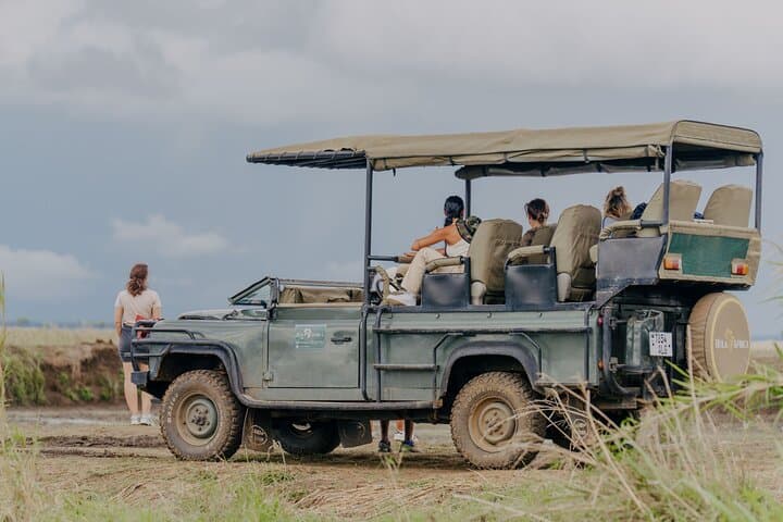 Fly-In Safari to Mikumi National Park: 1-Day Big-Game Adventure from Zanzibar photo 2
