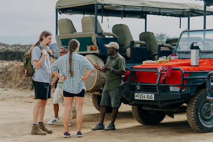 Fly-In Safari to Mikumi National Park: 1-Day Big-Game Adventure from Zanzibar photo 5
