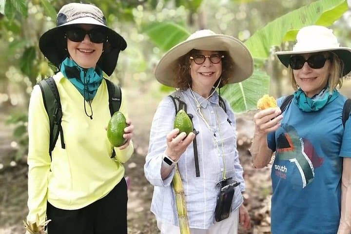 Private Cocoa Farm Tour and Hands-On Chocolate-Making near Guayaquil photo 2