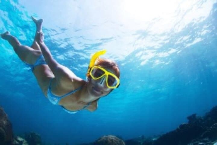 Half-Day Snorkel Tour from Margaritaville — St. Thomas Reef Excursion