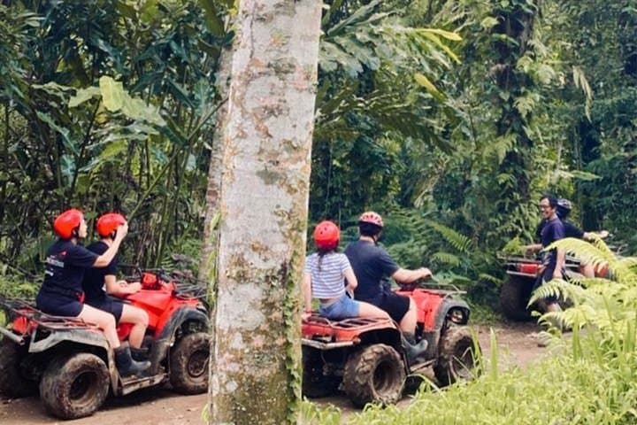 Bali Jatiluwih ATV Ride: Jungle Trails & Rice-Terrace Adventure photo 2