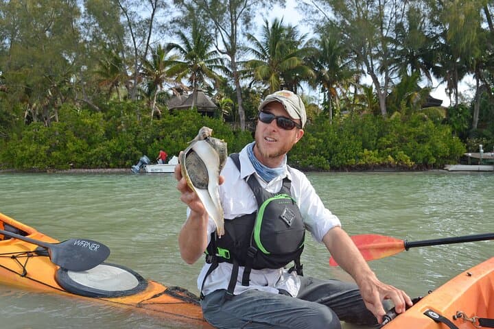 Kayaking Sarasota Bay: Coastal Wildlife Tour from Longboat Key photo 4