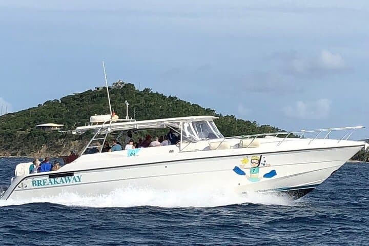 Half-Day Snorkel Tour from Margaritaville — St. Thomas Reef Excursion photo 4