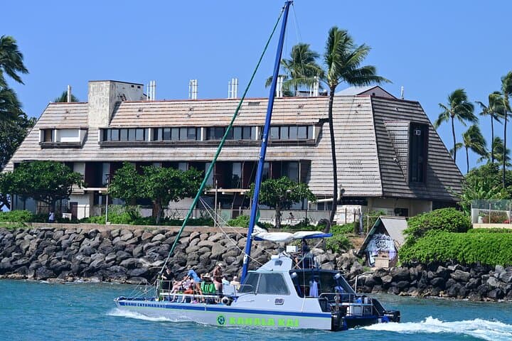 Oahu Catamaran Turtle Snorkel Tour from Waikiki — Guaranteed Turtle Sightings