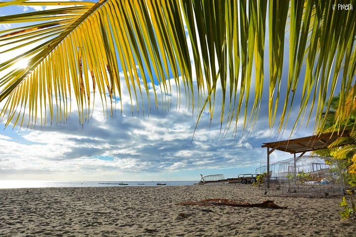 Martinique VIP Escape: North Caribbean Beach & Award‑Winning Rums