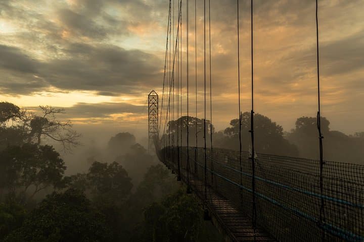 Ecuador Nature Travel: 15-Day Andes to Amazon Cloud Forest & Wildlife Journey photo 1