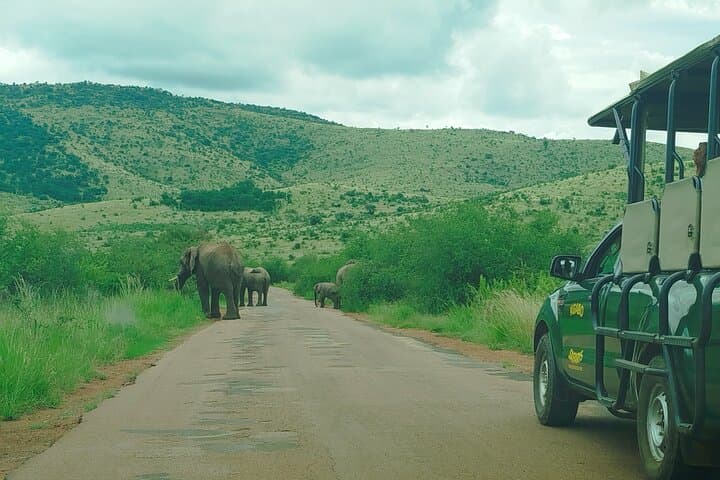Pilanesberg Open Safari: 6-Hour Big Five Game Drive from Sun City photo 3