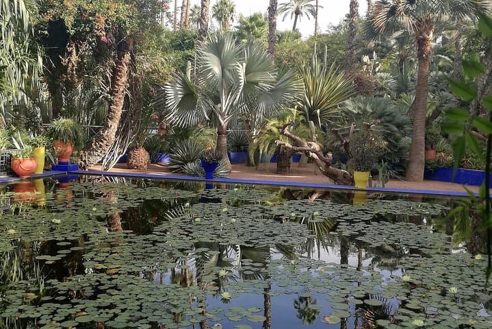 Marrakech Private Half-Day Guided City Tour — Koutoubia, Souks & Majorelle photo 2