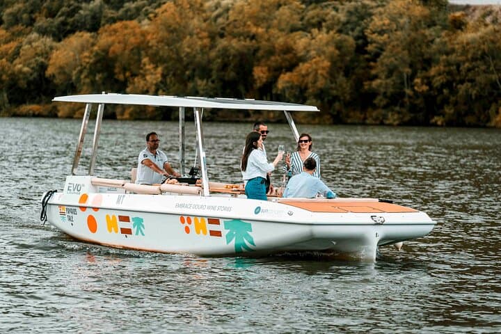 Pinhão Solar-Powered Private Boat Tour with Douro Wine Tasting
