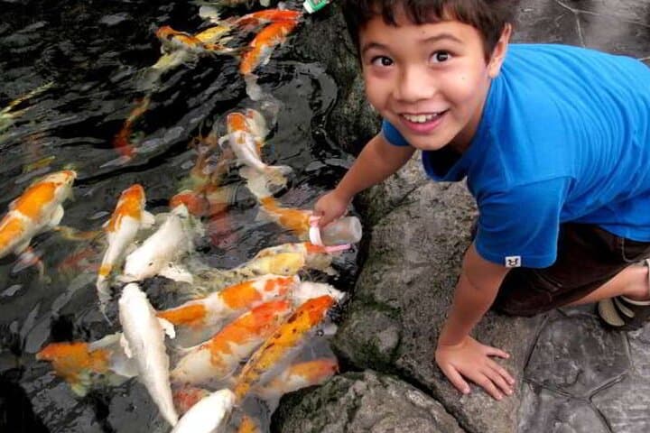 Pattaya Underwater World Tickets — Walk the 105m Ocean Tunnel photo 2