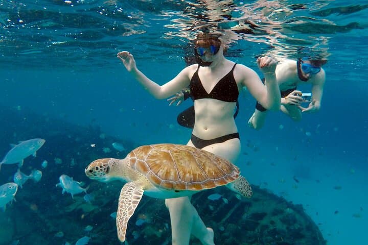 Che’s Early-Morning Snorkel Cruise in Barbados: Turtles & Shipwrecks photo 5