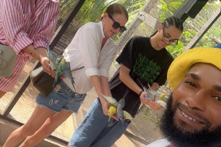 Montego Bay Exotic Bird Farm: Feed, Hold & Photograph Tropical Parrots photo 3