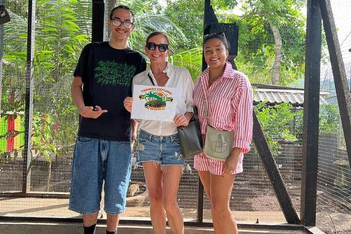 Montego Bay Exotic Bird Farm: Feed, Hold & Photograph Tropical Parrots photo 4